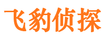 抚远找人公司